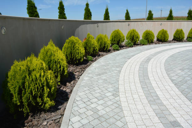 Best Residential Paver Driveway  in Thorsby, AL